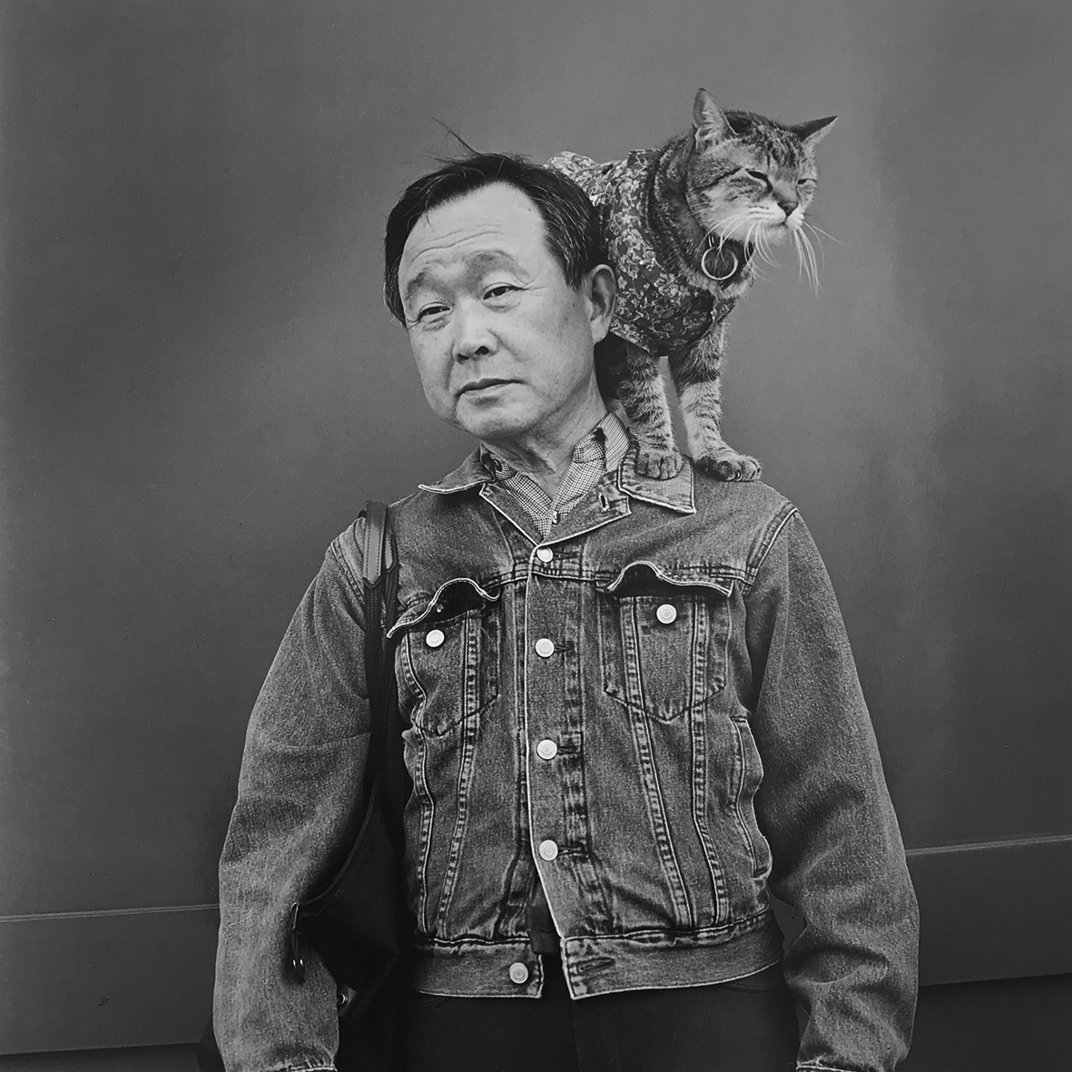 © Hiroh Kikai - A Tax accountant who talks to his 16 years old Cat in English, 2013